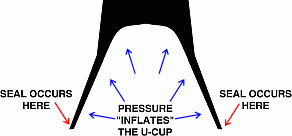 u-cup-cross-section